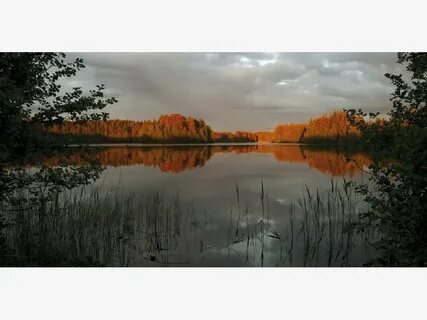 Времена года енисей