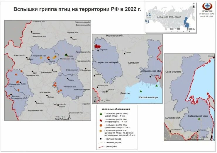 Карта украины. Птичье на карте украины. Птичье на карте украины. Карта украины. Карта украины с областями.