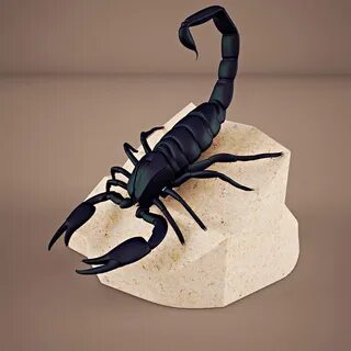 Scorpion 3