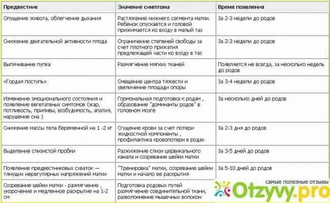 Сколько длятся ложные. Предвестники родов. Беременность предвестники родов. Предвестники родов таблица. Первые предвестники родов.