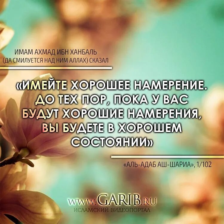 Мусульманские цитаты. Sabr терпение. Мусульманские цитаты про терпение. Сабр цитаты. Терпение сабр в исламе цитаты.