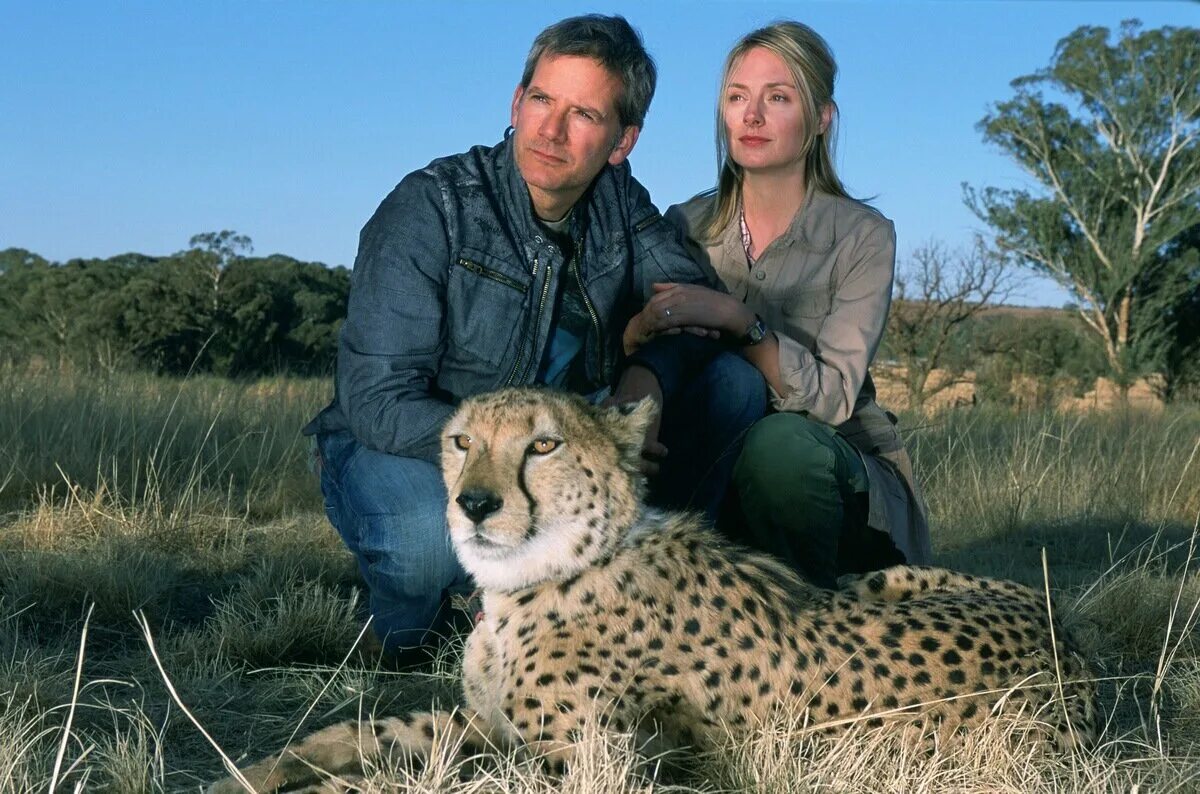 Мысли о свободе фильм 2005. Гепард фильм 2005. Мысли о свободе 2005. Дума мысли о свободе фильм. Дума мысли о свободе фильм.