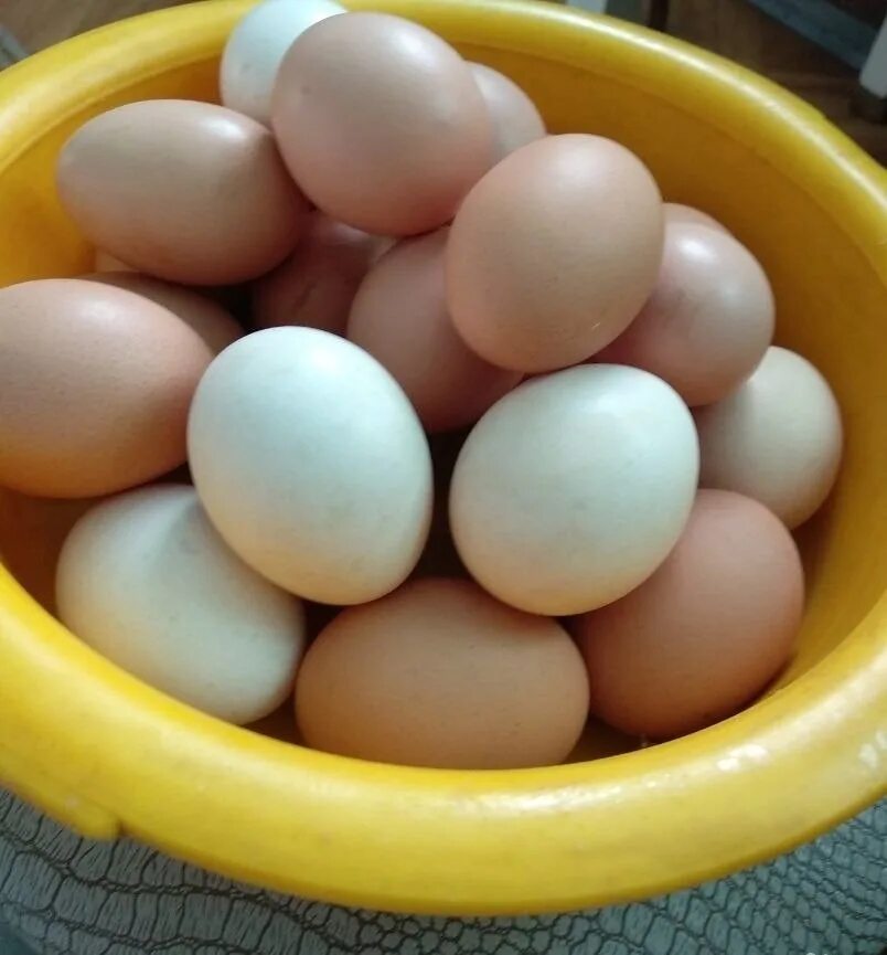 Свежие яйца купить