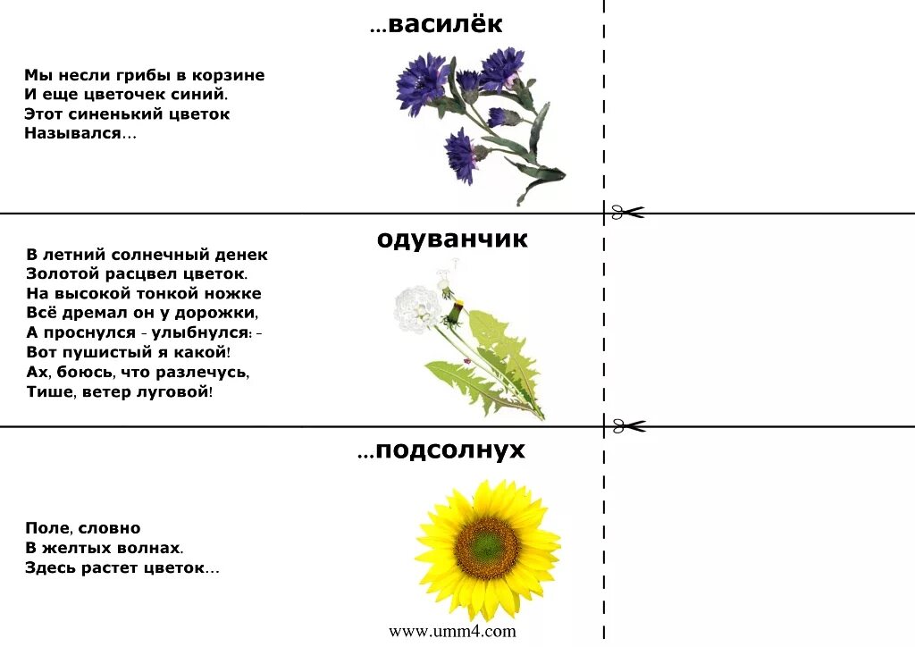 Загадки про цветы для дошкольников. Загадки для детей 7-8 про растения. Загадки о цветах. Загадки про цветы. Цвета в загадках.