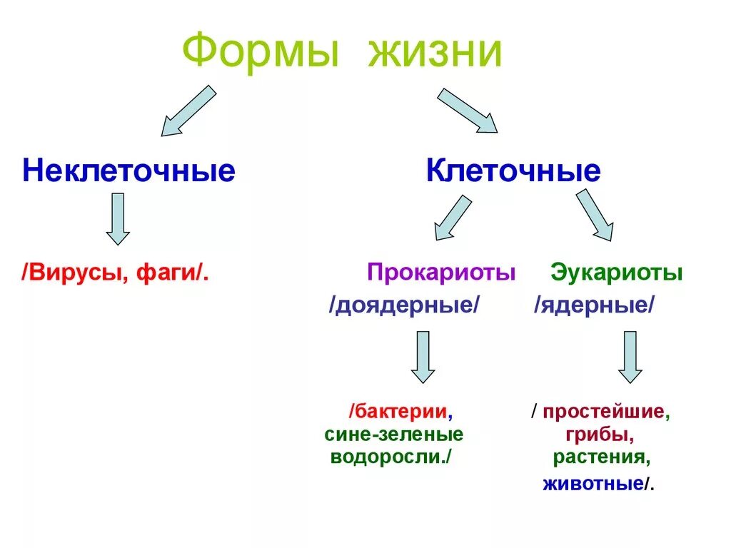 Клеточные и неклеточные формы жизни. Основные формы жизни неклеточные клеточные. Формы жизни клеточные неклеточные биология. Формы жизни клеточные и неклеточные таблица.