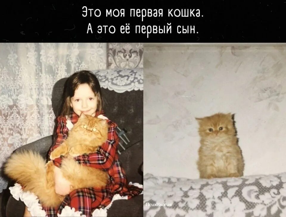 Тута найтись. Я нашел свою детскую фотографию. Я тут нашел свою детскую фотографию. Я тут нашел свою детскую фотографию с большим. Я тут нашёл свою детскую фотографию прикол.