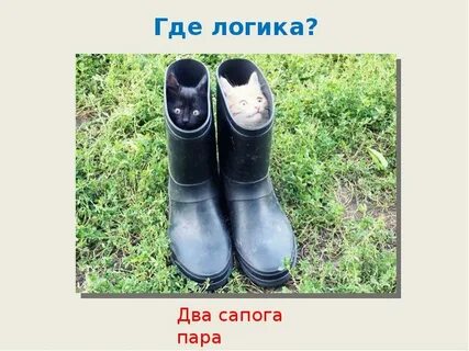 Пара валенок пара сапог пара чулок