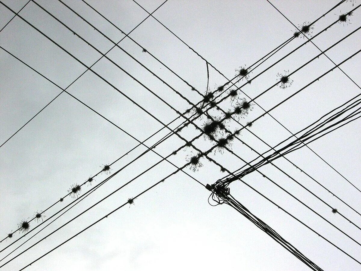 Wire points. Электрические провода. проволока jpg. проволока на здании. highwire.