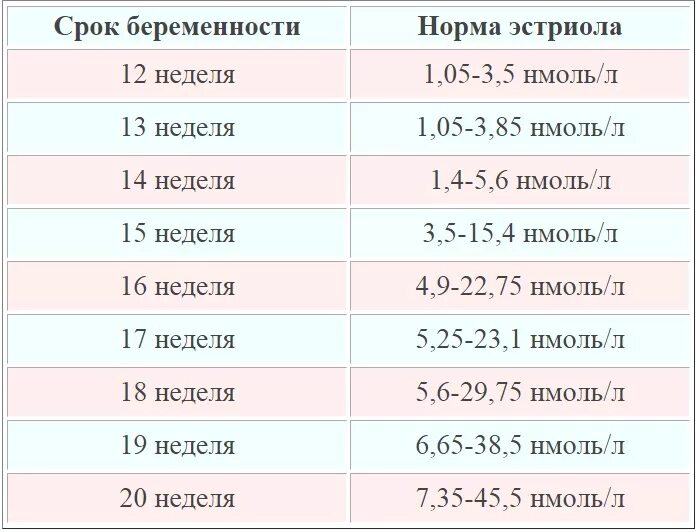 17 недель беременности это сколько месяцев