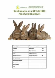 Можно кроликам давать комбикорм