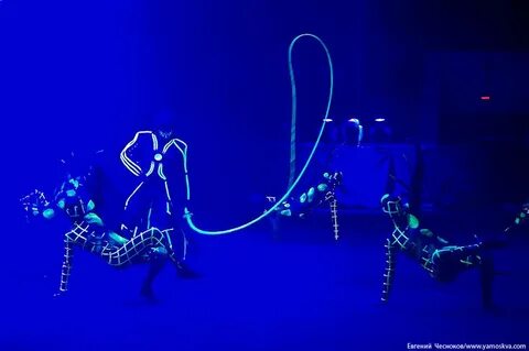 Новогоднее представление запашных 2024