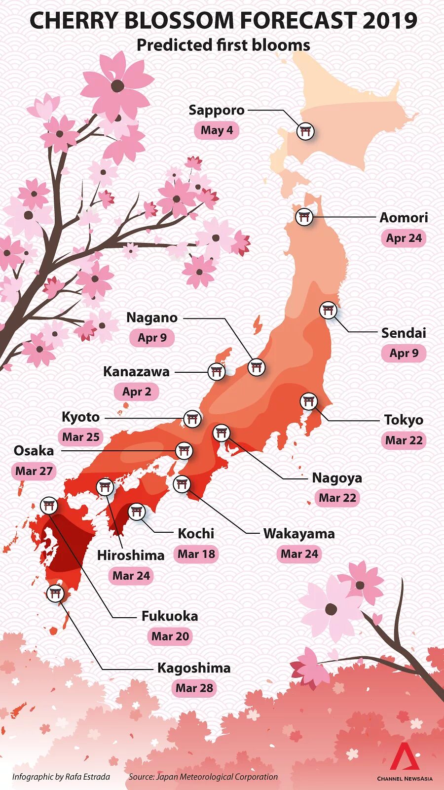 График цветения Сакуры в Японии в 2022. Карта цветения Сакуры в Японии 2020. Карта цветения Сакуры. Карта цветения Сакуры в Японии.