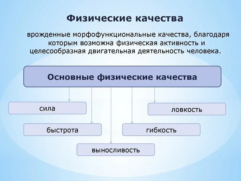 Дать определение физическим качествам