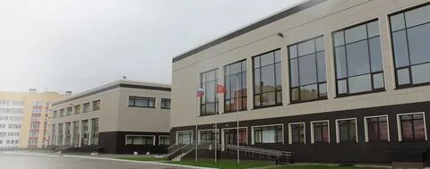 Школа тетра