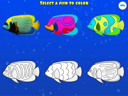 Dancing fish