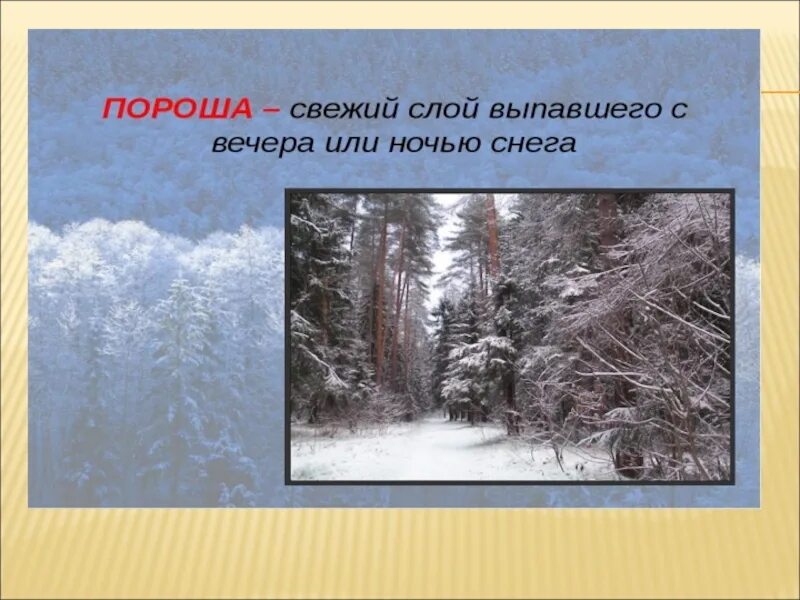 Какая тема стихотворения пороша. Стих пороша. есенин пороша стих. есенина пороша.