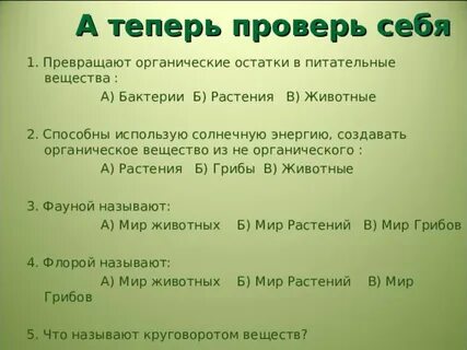 Тайга три