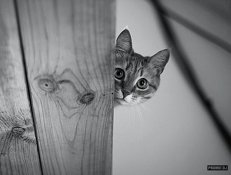 Трудности жизни. Высказывания о сильных людях. Утраченное счастье. Когда не знаешь что делать делай шаг вперед. Рисунки с цитатами.