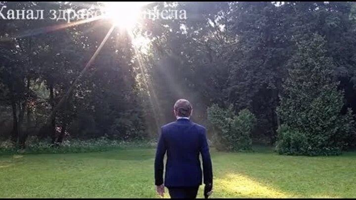 Маэстро понасенков мем. Мем с понасенковым гуляет в парке. Видео мужик гуляет. Дети на прогулке. Видео мужик гуляет.