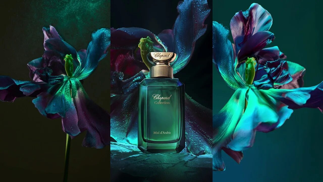 Шопард ирис. Шопард духи miel d’arabie. chopard jasmin moghol. chopard духи orange. парфюмерная вода chopard orange mauresque.