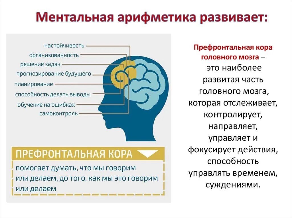 Ментально развитый. Ментальная арифметика задания. Что развивает Ментальная арифметика. Что означает ментально.