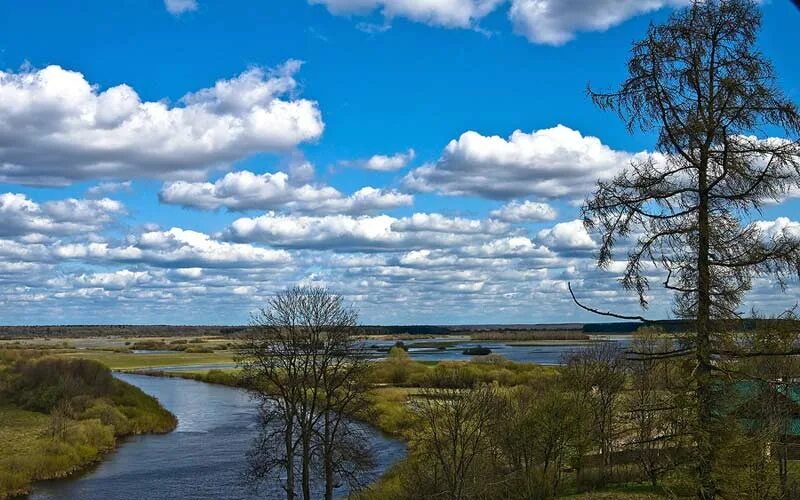 Як зберагчы куточак прыроды
