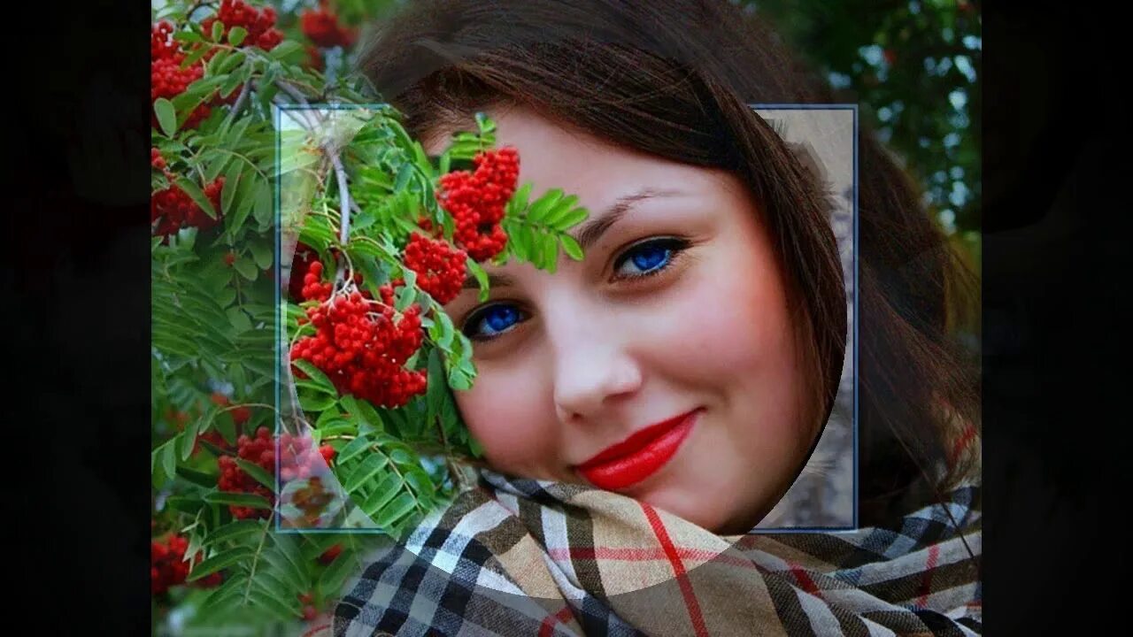 Рябина в снегу. Зимняя рябина. Гроздья рябины зимой. Осенняя рябина. Рябина в снегу.