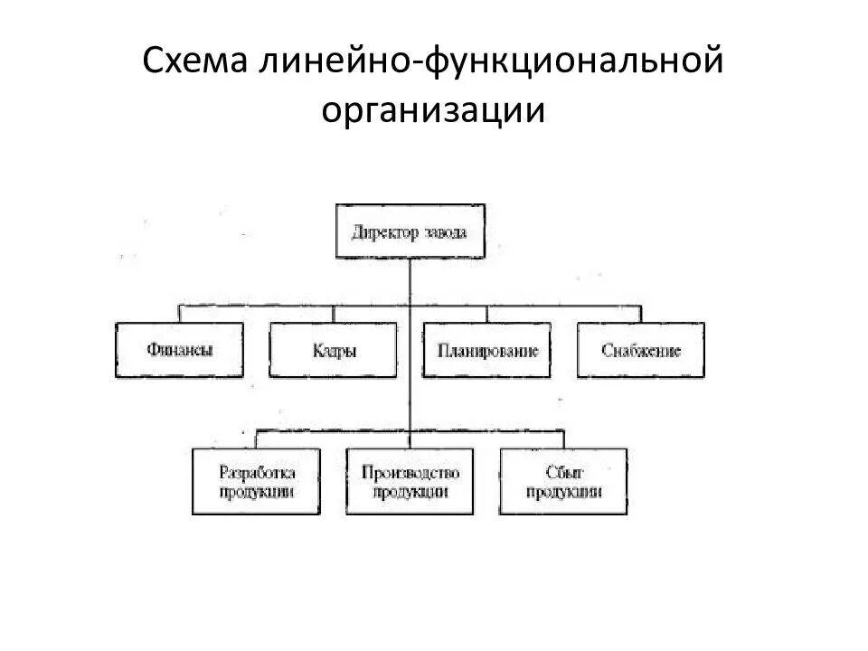 Схема организационной структуры управления организации. Функциональная организационная структура предприятия схема. Линейно-функциональный Тип организационной структуры. Функциональная структура управления предприятием схема.