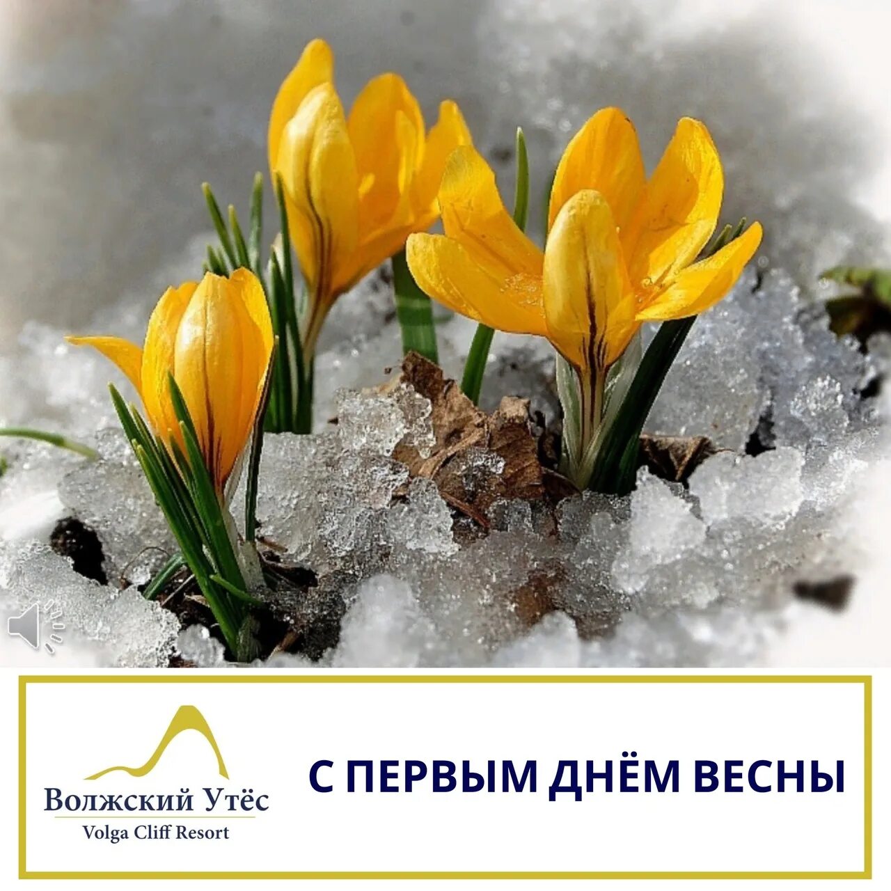 Дорогие с весенним днем