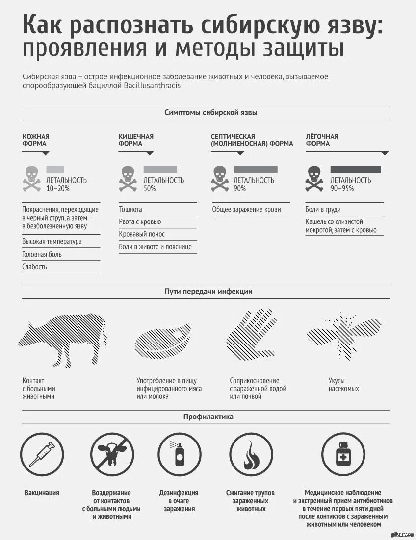 В скотомогильниках бактерии очень опасного заболевания