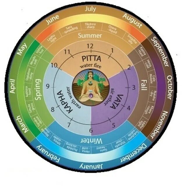 Круг часы работы. Диначарья распорядок дня. Диначарья распорядок дня по аюрведе. Режим дня Аюрведа. Часы по аюрведе.