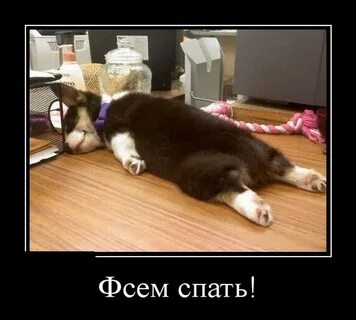 Настроение есть и спать