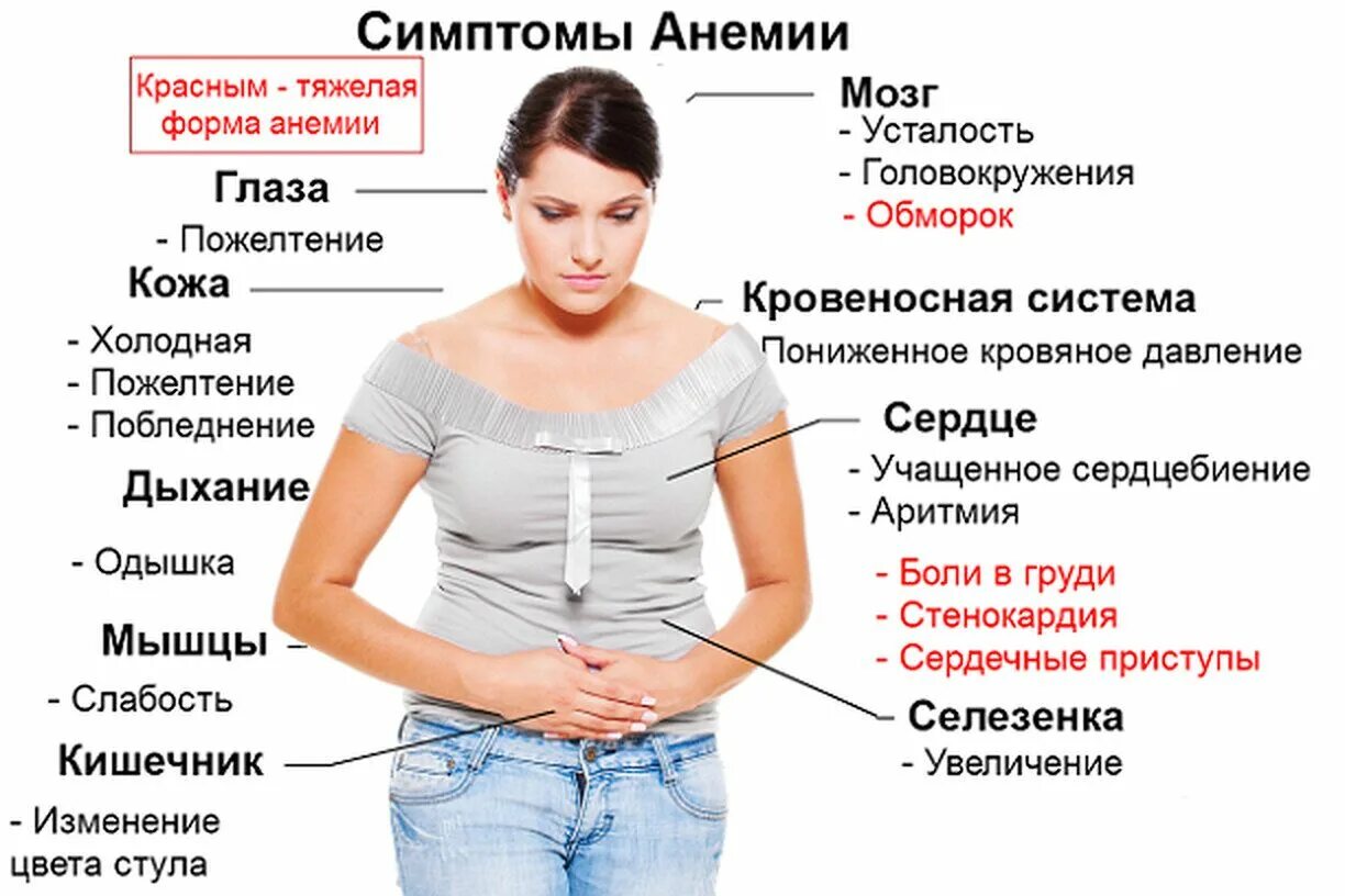 При каких заболеваниях низкий гемоглобин. Железодефицитная анемия симптомы у женщин. признаки железодефицитной анемии у женщин. симптомы низкого гемоглобина у женщин 30 лет. внешние признаки железодефицитной анемии у женщин.