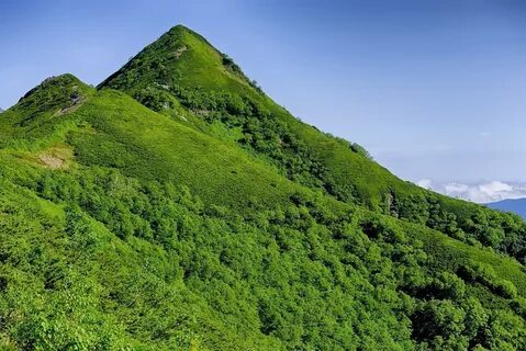 Гора талая до самой вершины заросшая
