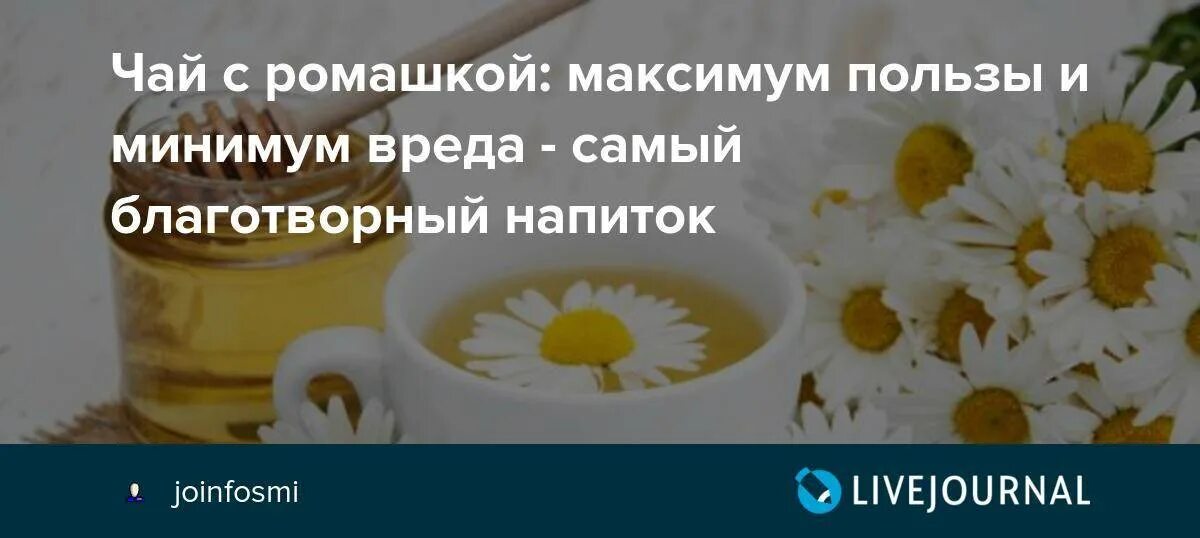 Ромашковый чай св ва. Ромашковый чай полезные. Чем полезен чай с ромашкой. Ромашка чай лечебные. Чай с ромашкой польза.