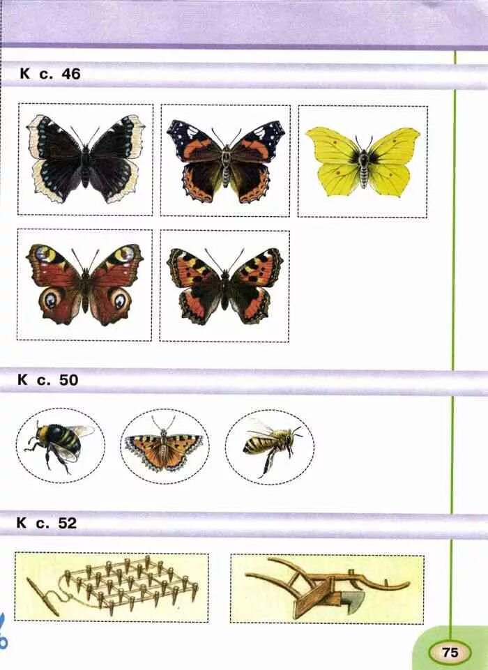 Дневные бабочки окружающий мир 2 класс. Название бабочек окружающий мир 2 класс. Бабочки окружающий мир 2 класс. Окружающий мир 2 класс Плешаков бабочки. Окружающий мир 2 класс рабочая тетрадь бабочки