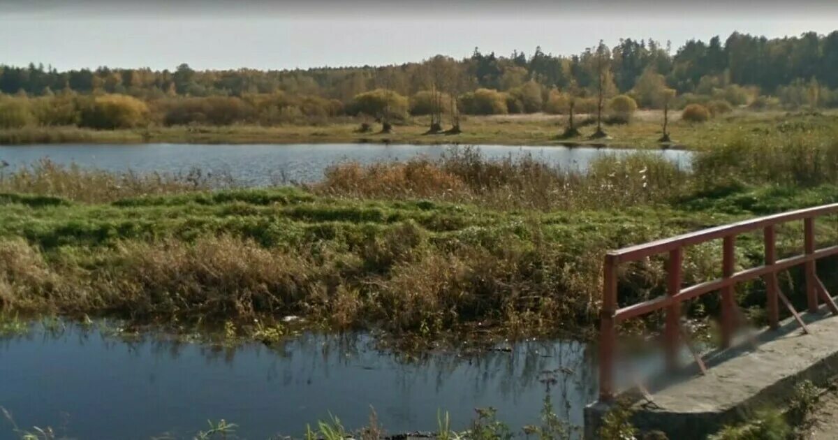 Отыщите берега
