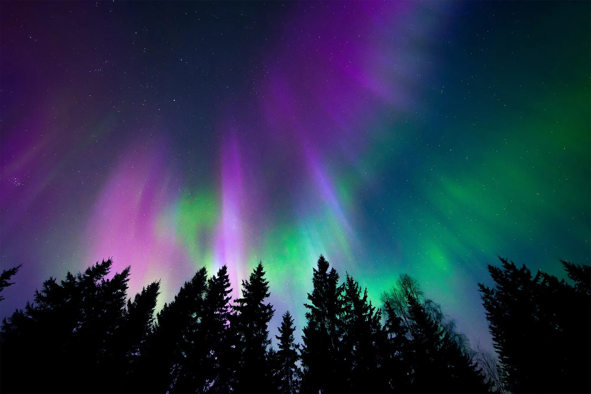 Северное сияние полярное сияние. Aurora Borealis Северное сияние. Aurora Borealis - Northern Lights. Северное сияние Northern Lights.