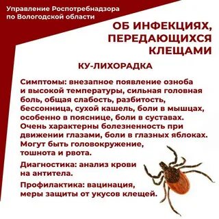Передаваемый клещом инфекция