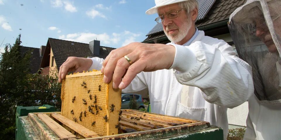 Пчеловодство в Германии. Немецкие пчеловоды. Известные немецкие пчеловоды. Немецкое пчеловождение.