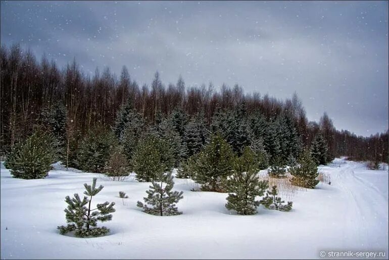 Погода в ельнике республика