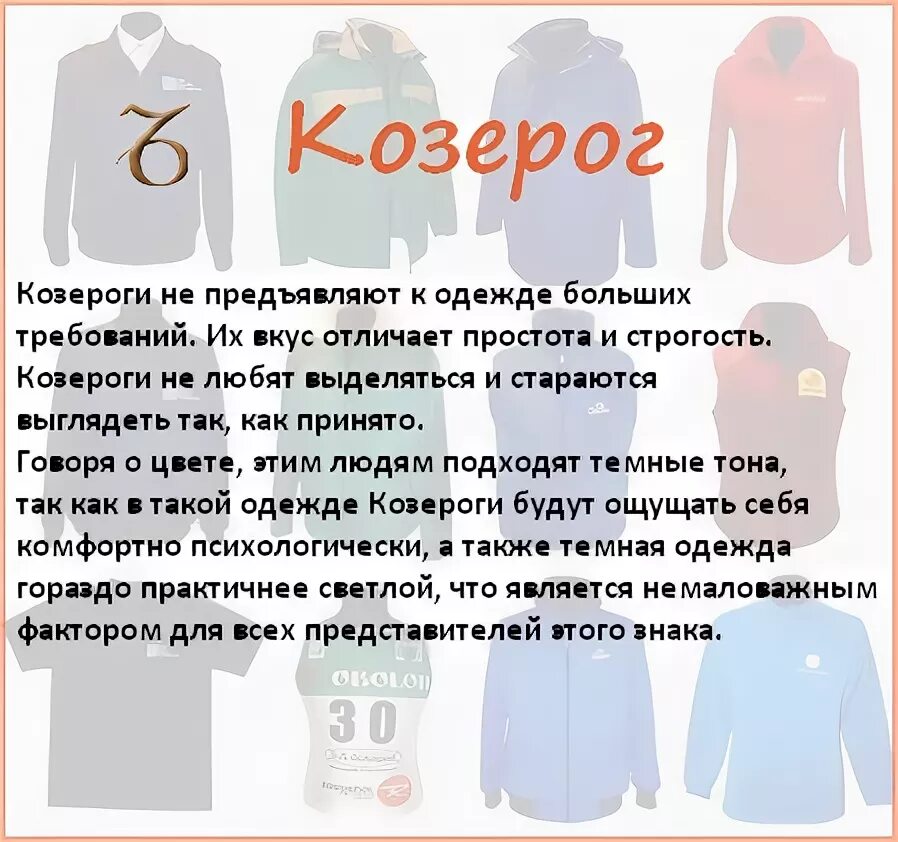 букет для овна. комнатные цветы для козерога женщины. какие цветы любит козерог женщина. цветок козерога.