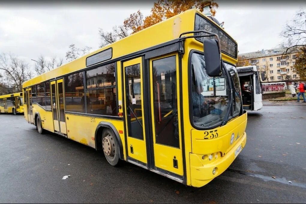 Дорогой автобус. Большие автобусы. Автопарк автобусов. Двери автобуса.