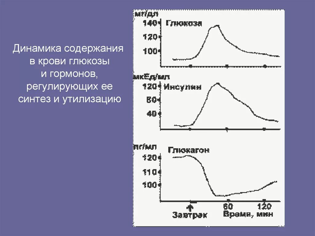 Изменение уровня гормонов. Динамика уровня Глюкозы в крови у здорового человека. Динамика изменения концентрации Глюкозы в крови. Изменения сахара в крови. Суточные колебания Глюкозы в крови.