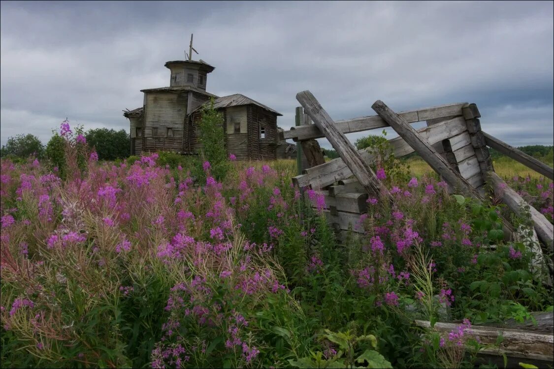 Виноградовский район Архангельская область. Виноградовский раон Архангельская обл. Деревня Власьевская Архангельская область. Тулгас Архангельская область. Норвежский сайт березнике виноградовского