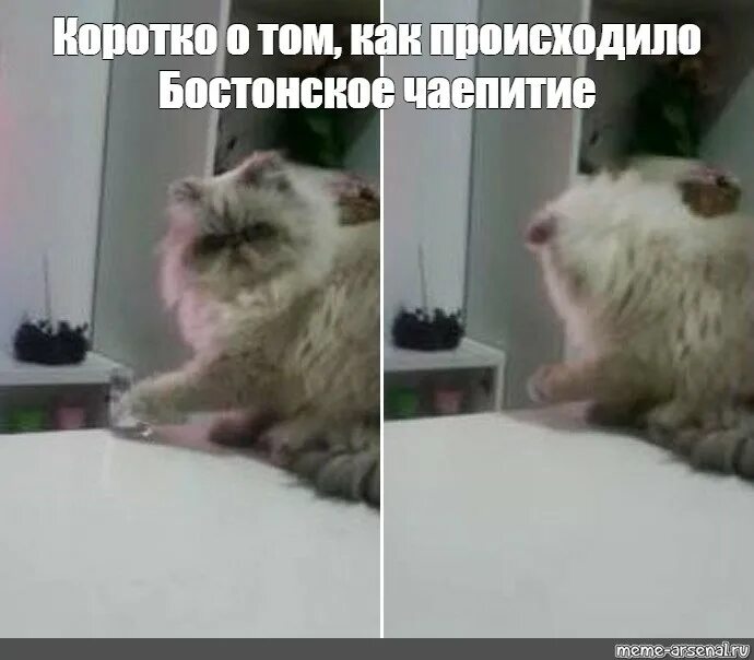 Кот наступил на кота Мем. Короткий кот Мем идет. Будет сделано Мем кот. Мемы очень смешные с матом. Short memes