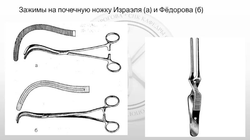 Почечный зажим Федорова. Зажим Израэля и Федорова. Зажим Федорова на почечную ножку. Почечный зажим Израэля. Б федорова 1 б