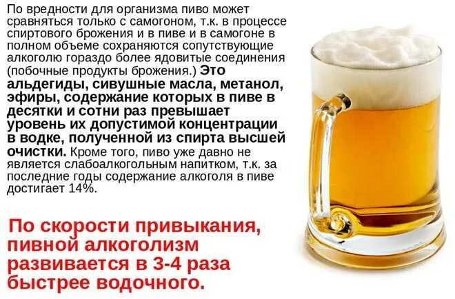 Можно пить пиво во время поста