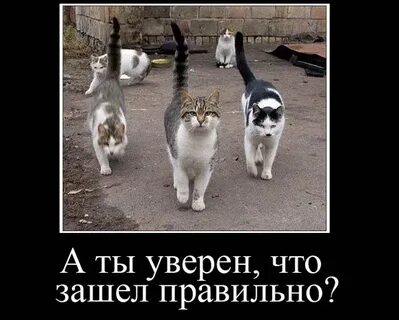 Не уверен не входи