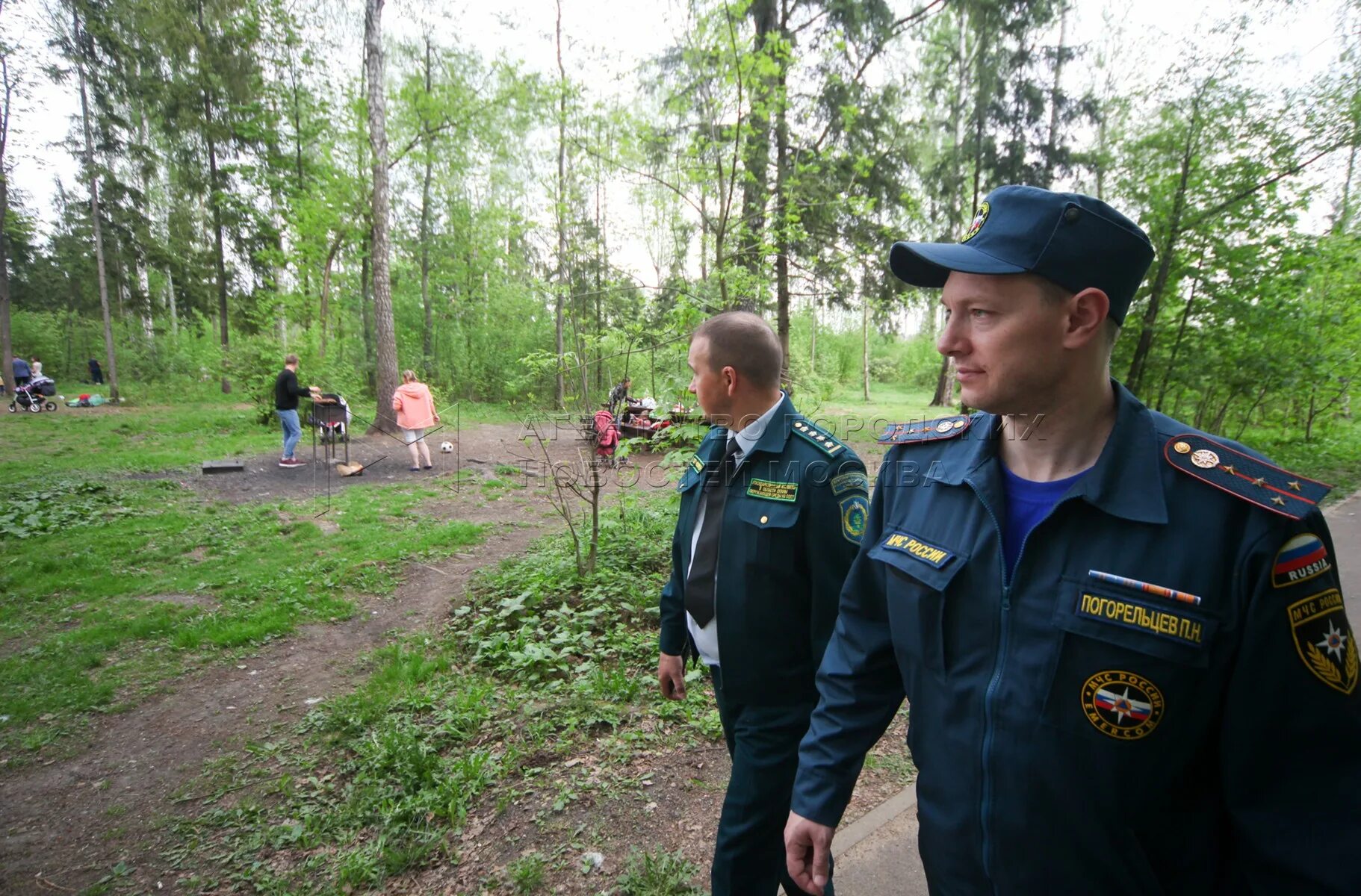 Инспектор по охране окружающей среды. Государственный инспектор в области охраны. Госинспектор в области охраны окружающей среды. Департамент охраны окружающей.